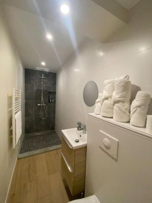 Appartement T2 Spacieux Et Equipe Mions Eksteriør billede